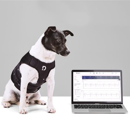 What Is Wireless Monitoring for Pets and What Are Its Benefits in a Veterinary Practice?