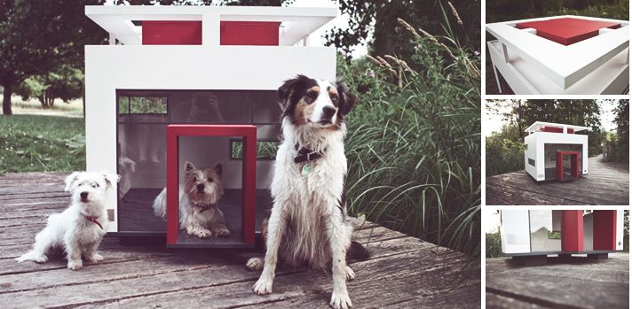 Descubre las casas más lujosas para perro