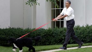 bo-y-obama2