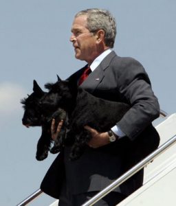 george-bush-barney