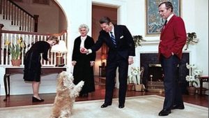 reagan-y-bush