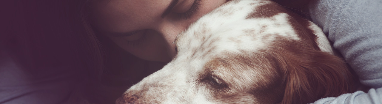La bella sincronía entre los latidos de los corazones de los perros y sus dueños