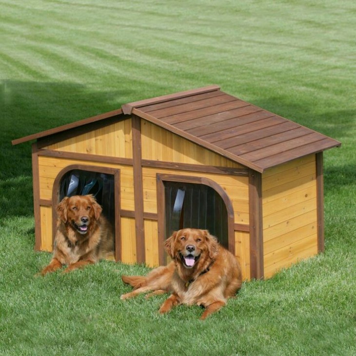 duplex
