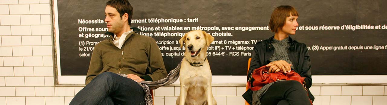 Madrid dice sí a la entrada de perros en el metro