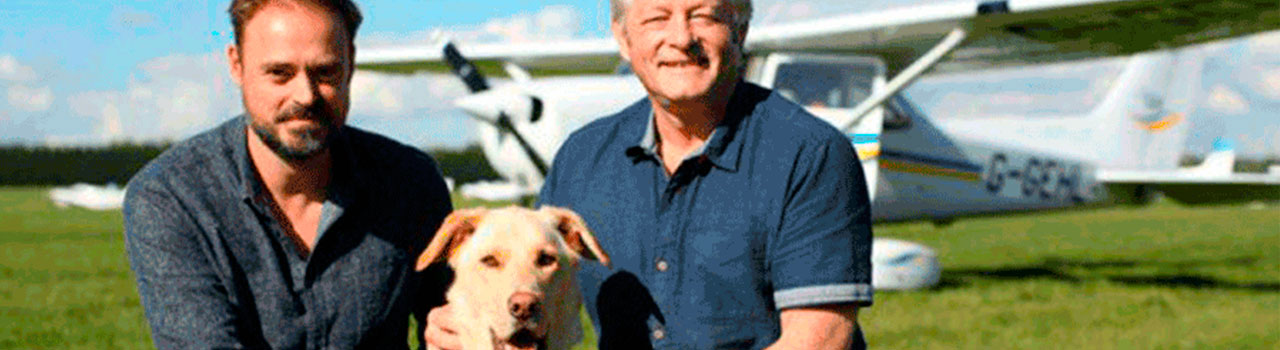“Dogs Might Fly”, el programa que hará que un perro callejero aterrice un avión