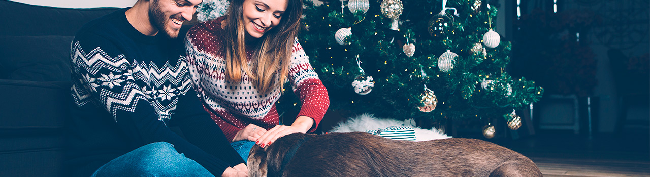 ¿Un perro por Navidad?