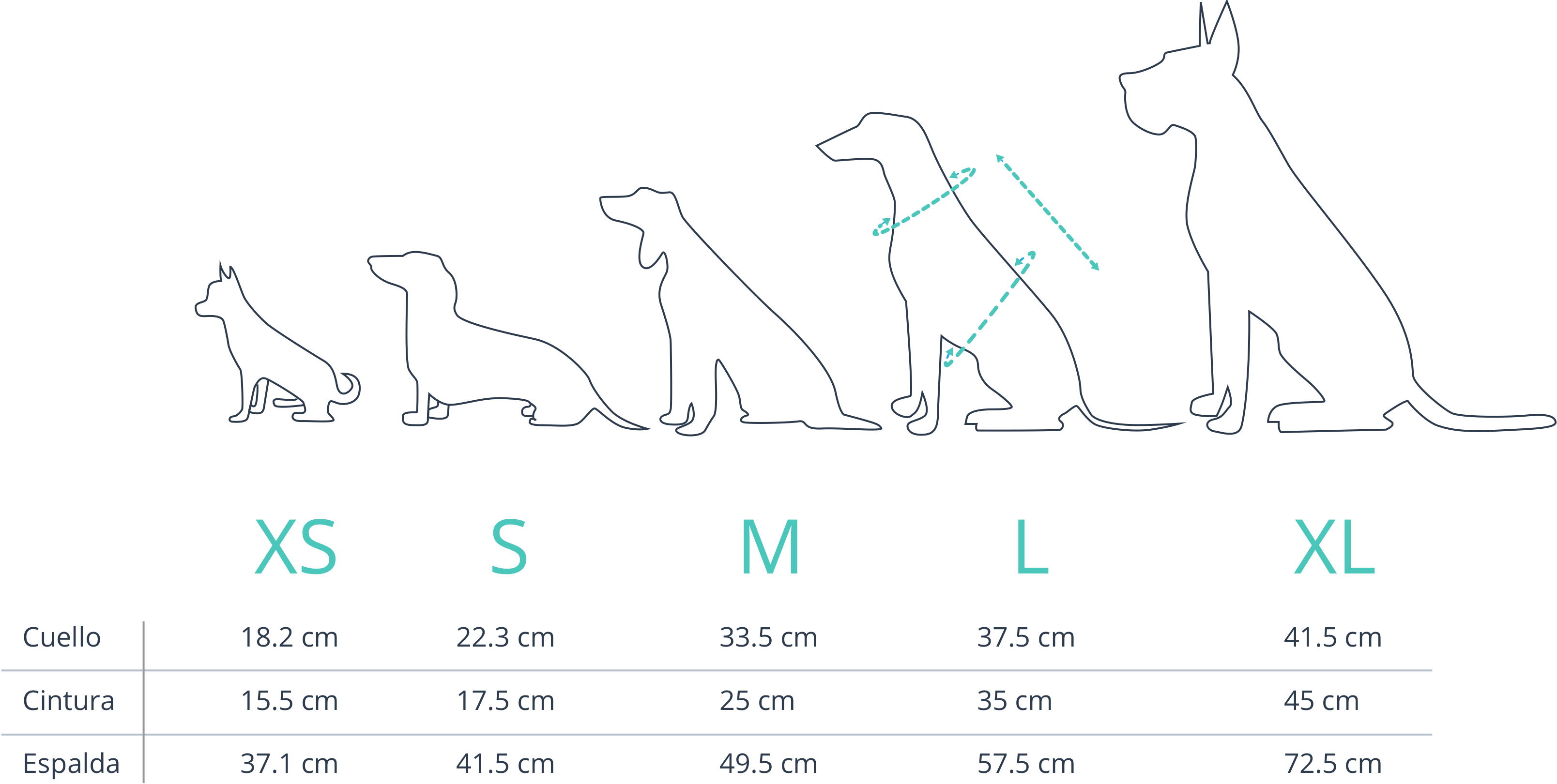 sizes