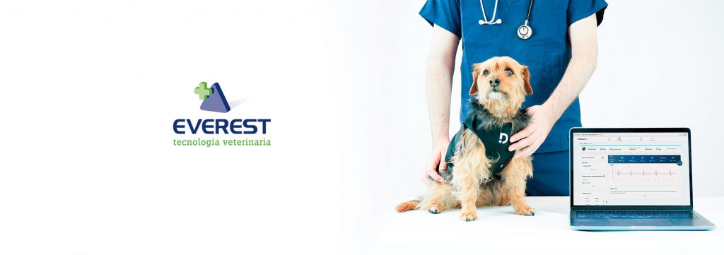 Dinbeat y Everest cierran un acuerdo para distribuir Dinbeat UNO en España