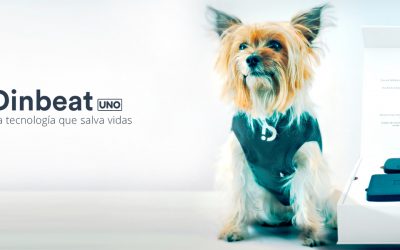 Dinbeat UNO: qué es y cómo maximiza la eficiencia en el servicio de hospitalización