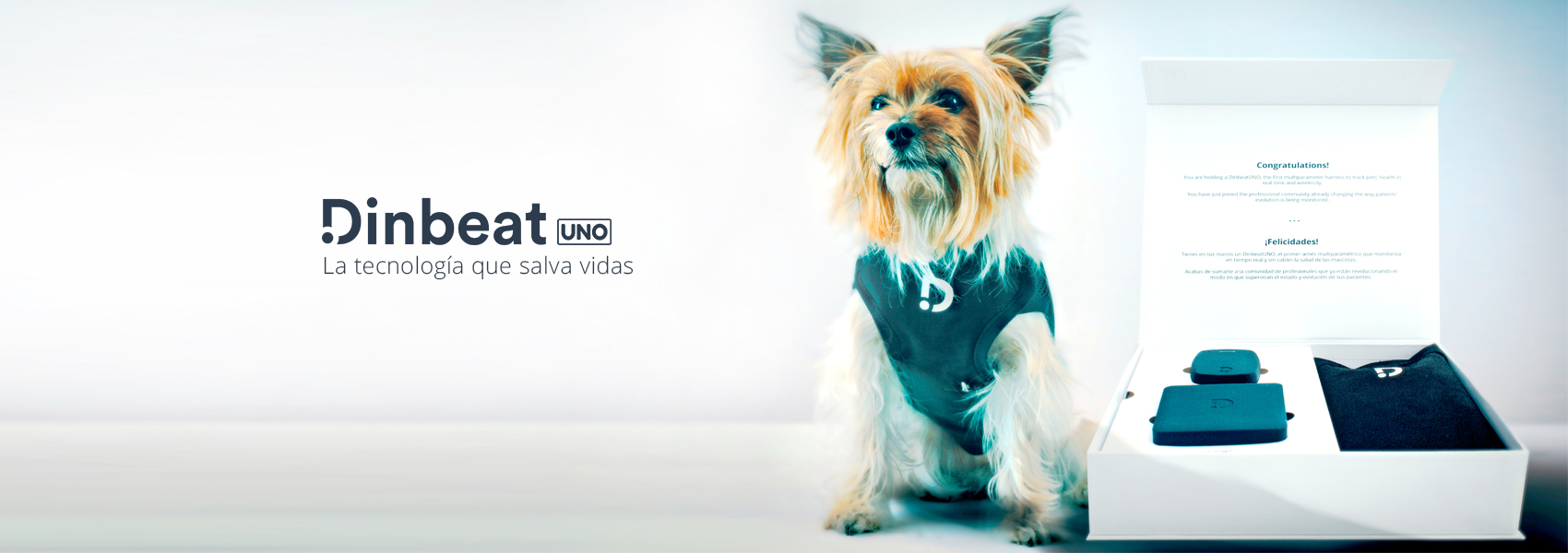argosBlog