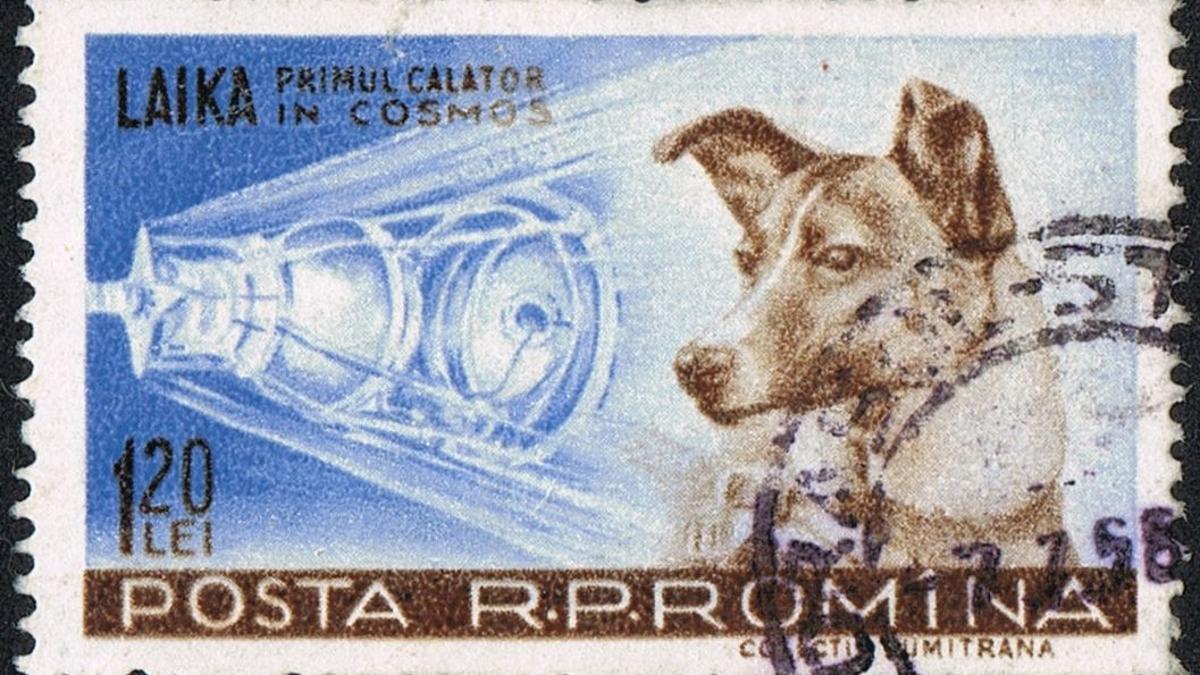 la historia jamás contada de laika la perra astronauta sello