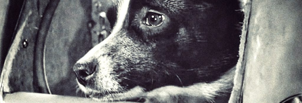 La historia jamás contada de Laika, la perra espacial
