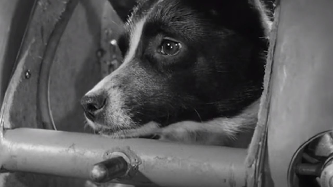 la historia jamás contada de laika la perra astronauta