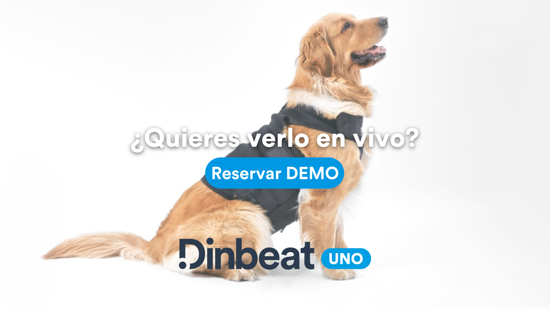 El uso de Dinbeat UNO nos facilitará la monitorización en situaciones de hipotermia e hipertermia como monitor multiparamétrico.