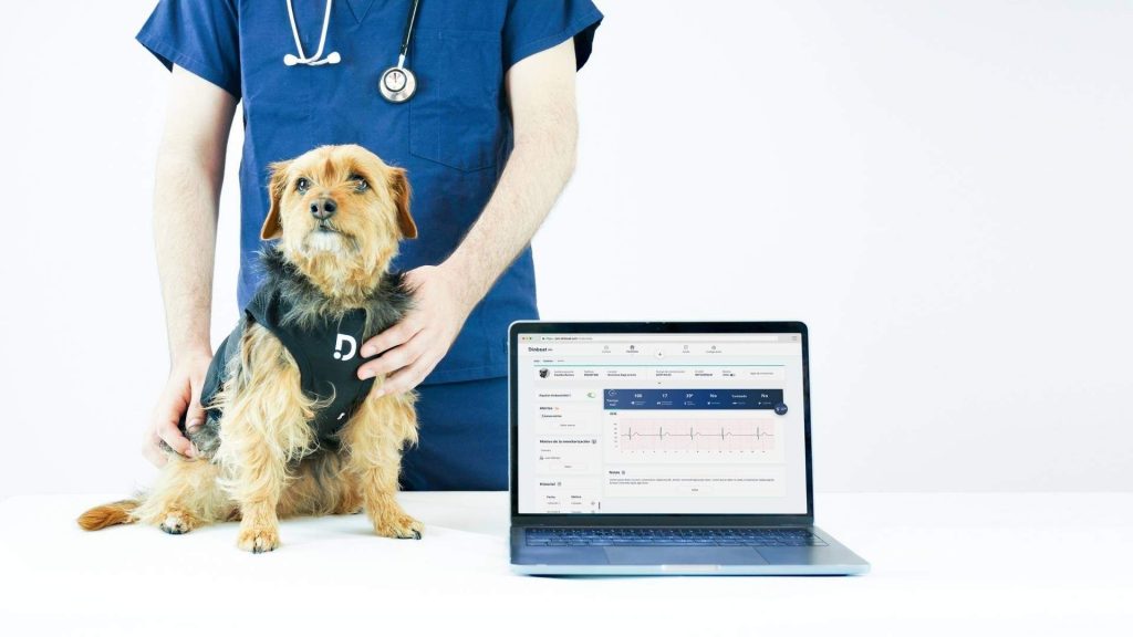 Vet Tech: How the Digital Transformation Is Impacting Modern Veterinary Clinics