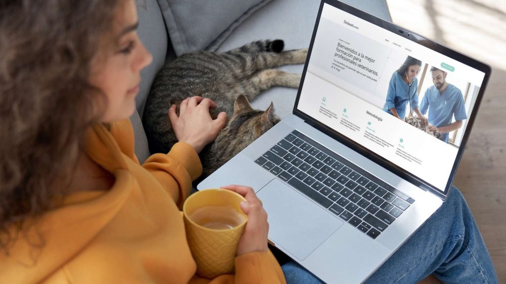 Veterinary Marketing Strategies for Growing Your Practice