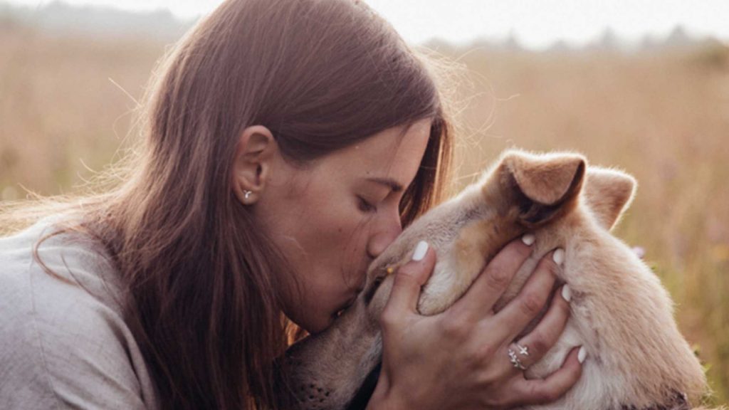 Home Health Care for Pets: What Vets Can Provide