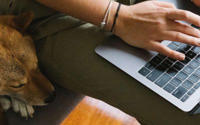 5 ejemplos de negocios veterinarios innovadores: lleva tu clínica al siguiente nivel (Casos de éxito)