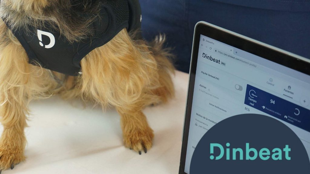 Aplicaciones para veterinarios: 9 indispensables para gestionar eficientemente tu clínica