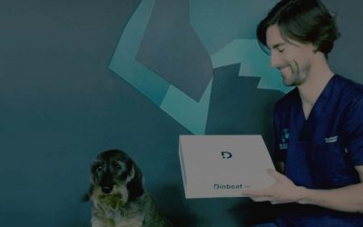 7 ideas de contenidos de redes sociales para tu clínica veterinaria