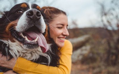One health: qué es y cuál es el papel de los profesionales veterinarios