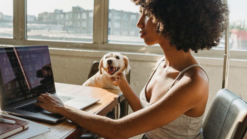 Apps de control veterinario: ¿cómo pueden salvar la vida a tus pacientes?