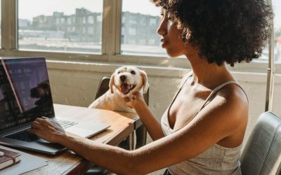 Apps de control veterinario: ¿cómo pueden salvar la vida a tus pacientes?