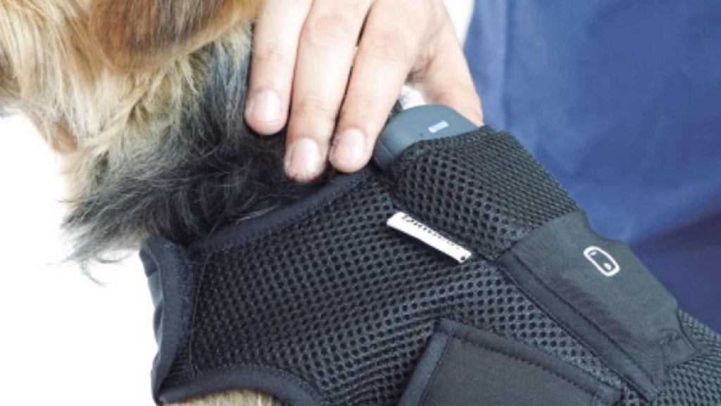 Tecnología wearable en medicina veterinaria: usos, beneficios y ejemplos