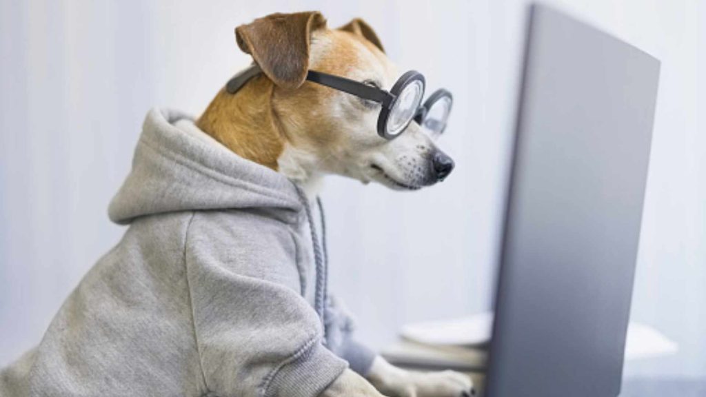 Artificial Intelligence in Veterinary Medicine: Is It Possible?