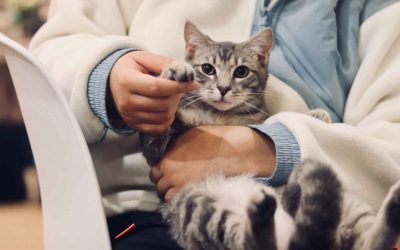 Atención al cliente en veterinaria: por qué es importante y cómo puede mejorar tu rentabilidad