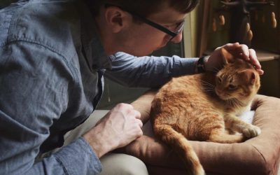 Cómo montar una clínica veterinaria: consejos para ver tu sueño hecho realidad