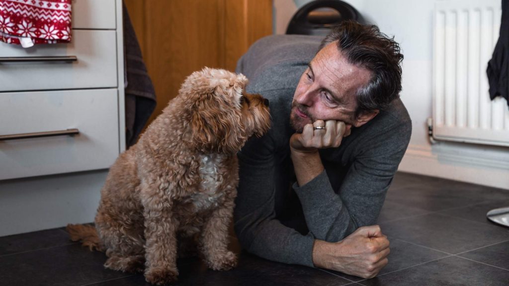 Medir la frecuencia cardíaca en perros: mejores herramientas en 2022