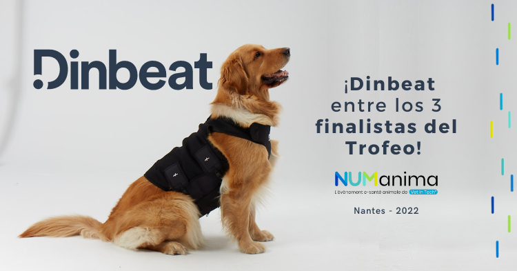 Dinbeat finalista del trofeo Numanima 2022 - Vet Tech