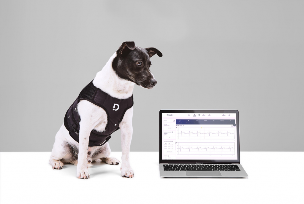 Optimizar recursos con Dinbeat UNO