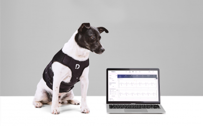 Optimizar recursos con Dinbeat UNO