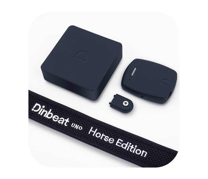 Dinbeat Horse Edition producto