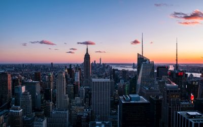 Dinbeat aterriza en en New York Vet Show 2022