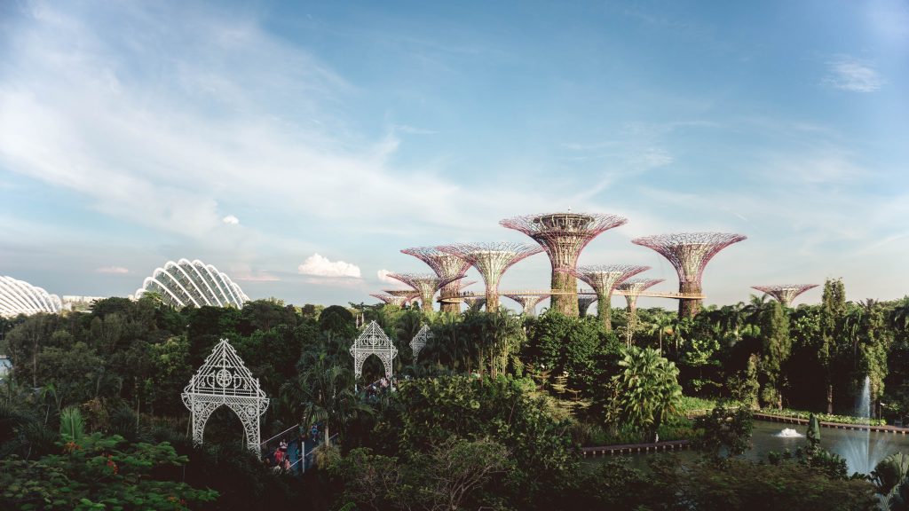 Dinbeat viaja hasta el Singapur Vet Show 2022