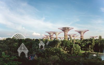 Dinbeat viaja hasta el Singapur Vet Show 2022